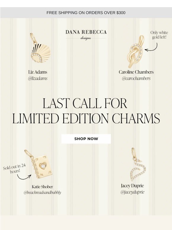 Last Chance: Limited-Edition Charms ✨