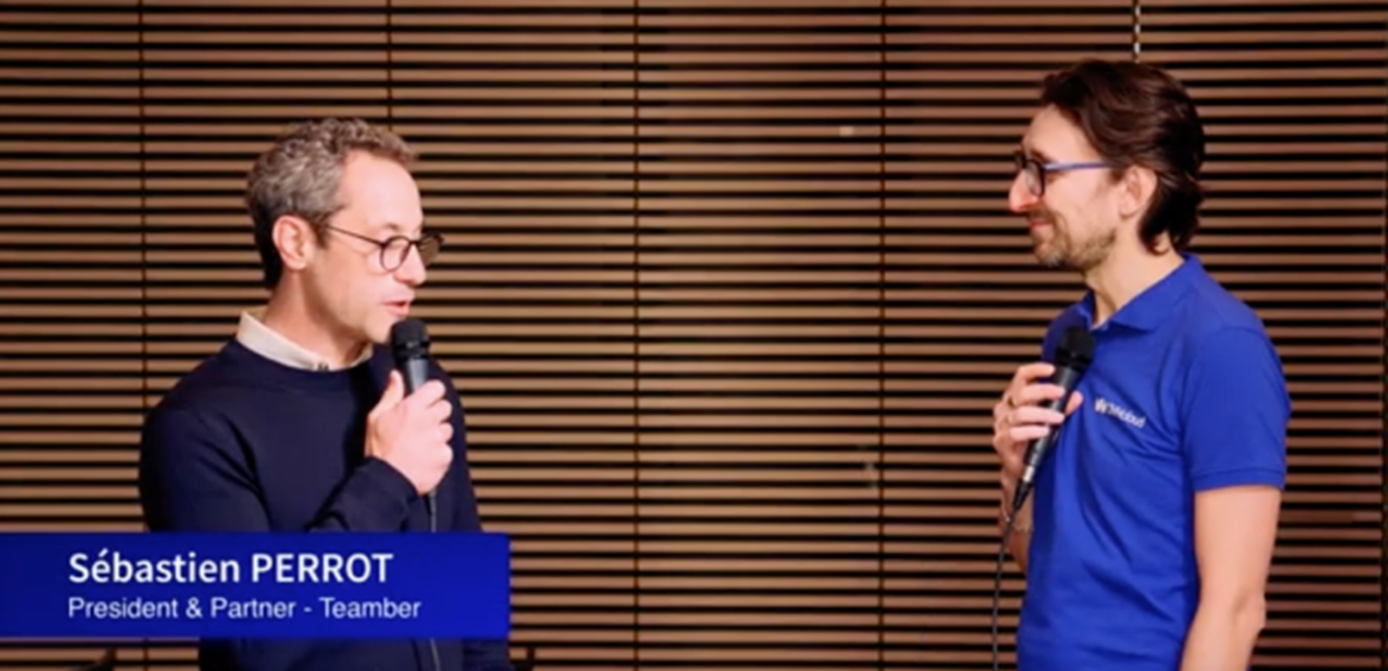 teamber-intvw.png