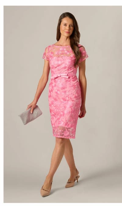 Short Sleeve Embroidered Illusion Sheath Dress In Cherry Blossom