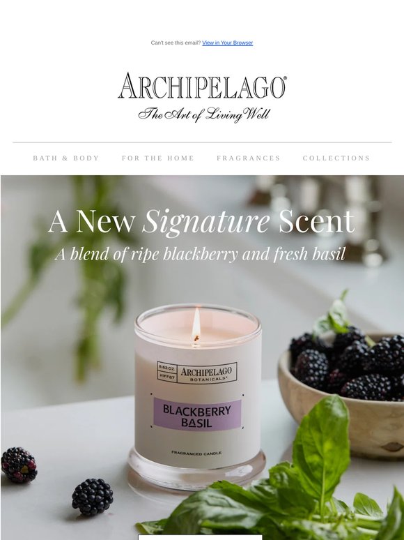 New for Summer: Blackberry Basil 🌿