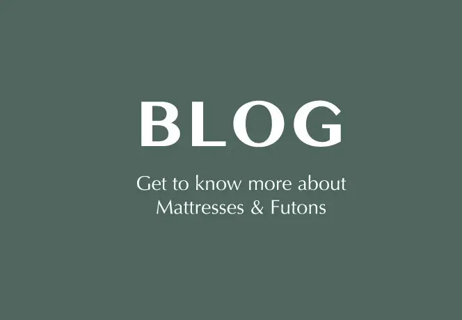 blog