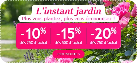L'instant jardin