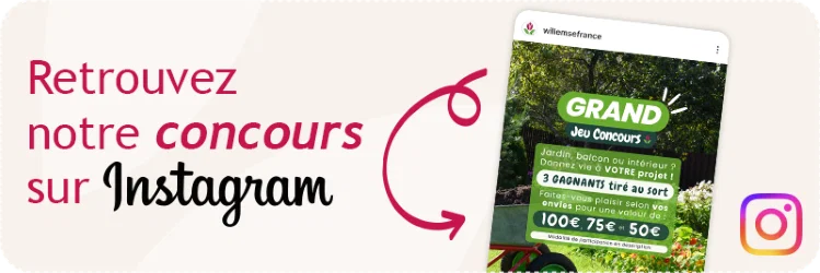 Concours Instagram
