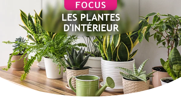 Tendance intérieur 2026