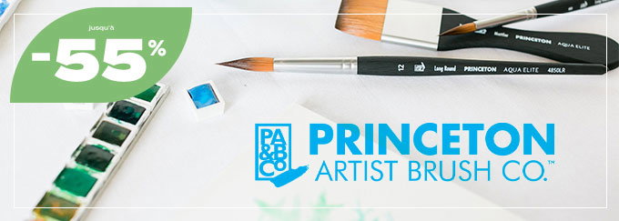 Offre de lancement Princeton