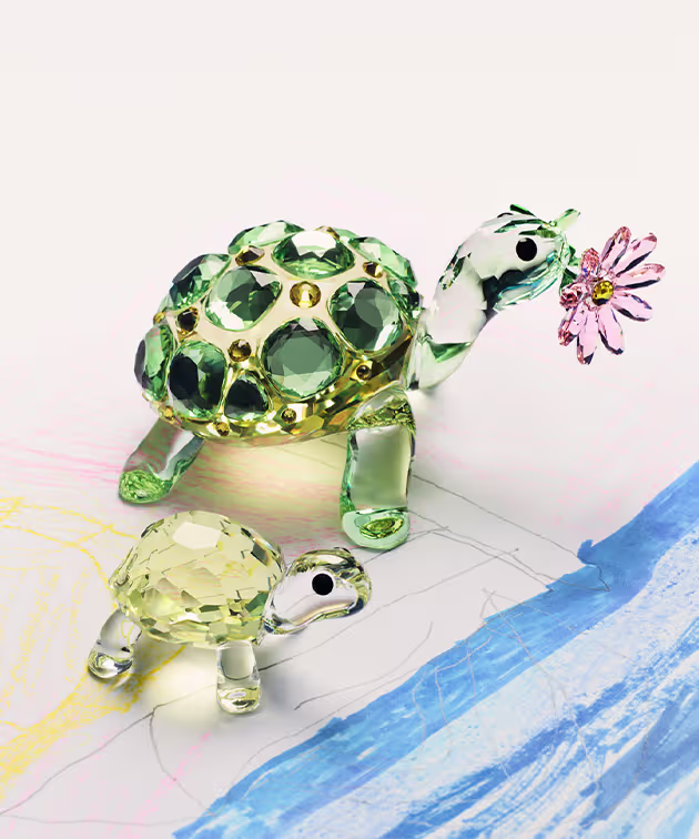 Idyllia Schildpadden op een kinderlijke tekening