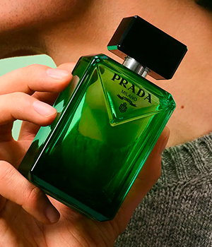 Perfumes amaderados