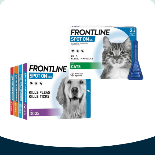 Frontline