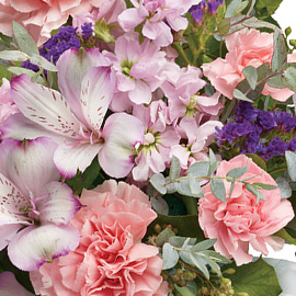 Flowers, on sale now