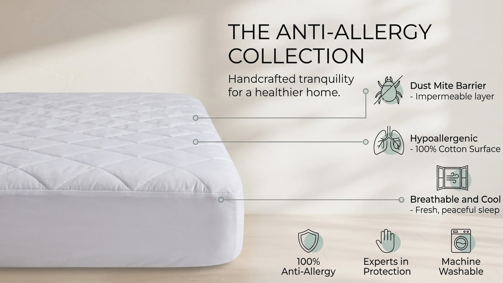 The Anti Allergy Collection