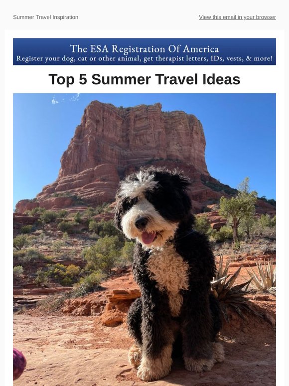 Top 5 Travel Destinations with Dogs