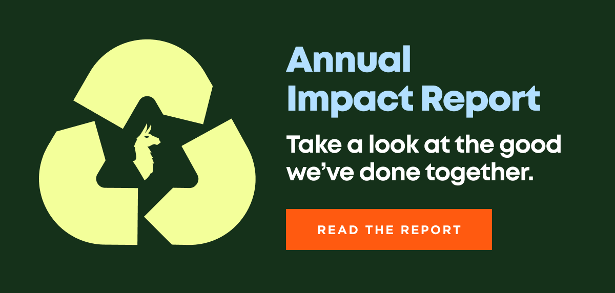 Annual Impact Report