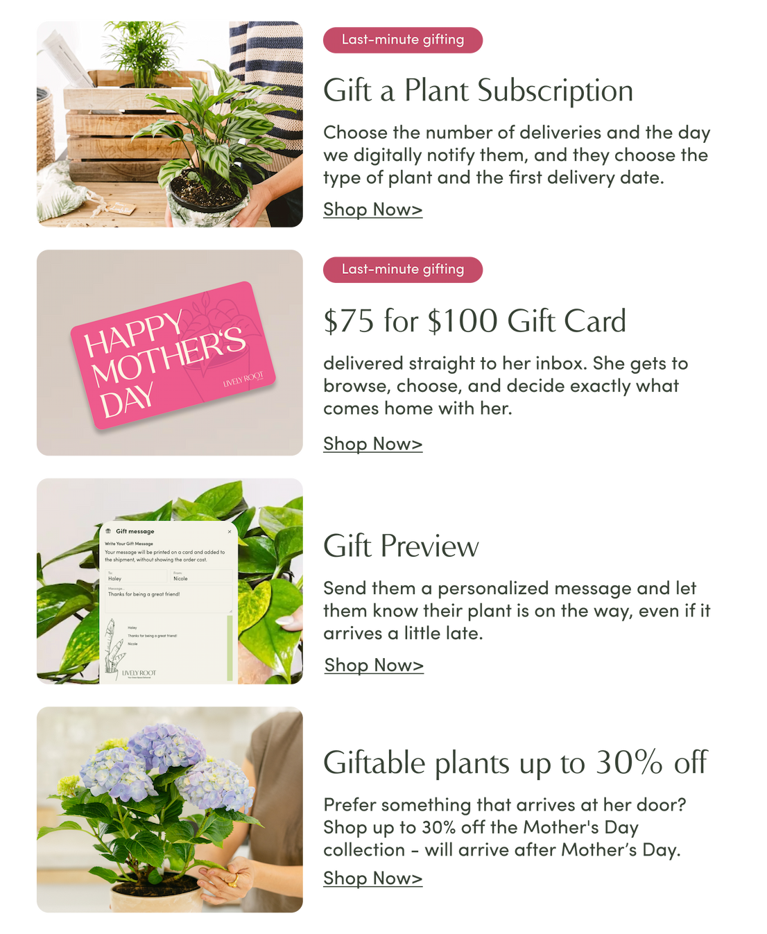 Shop now