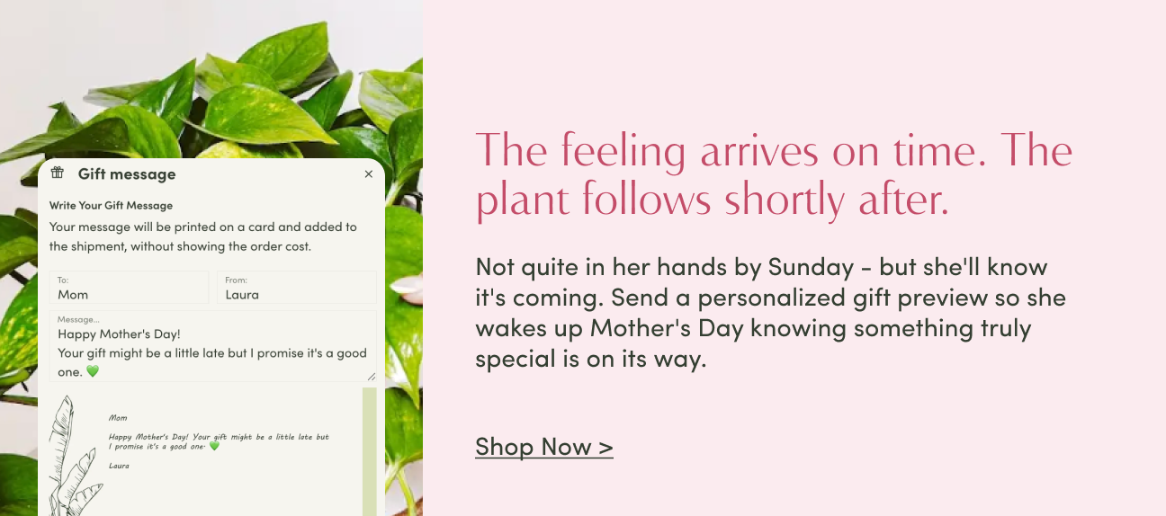 shop up to 30% off