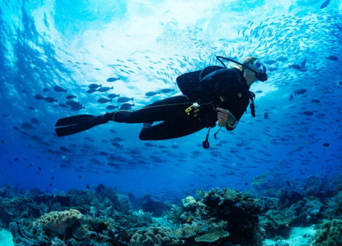 Drift Diver in Cozumel, Mexico