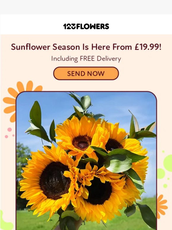 Sunflowers From Only £19.99! 🌻🌻