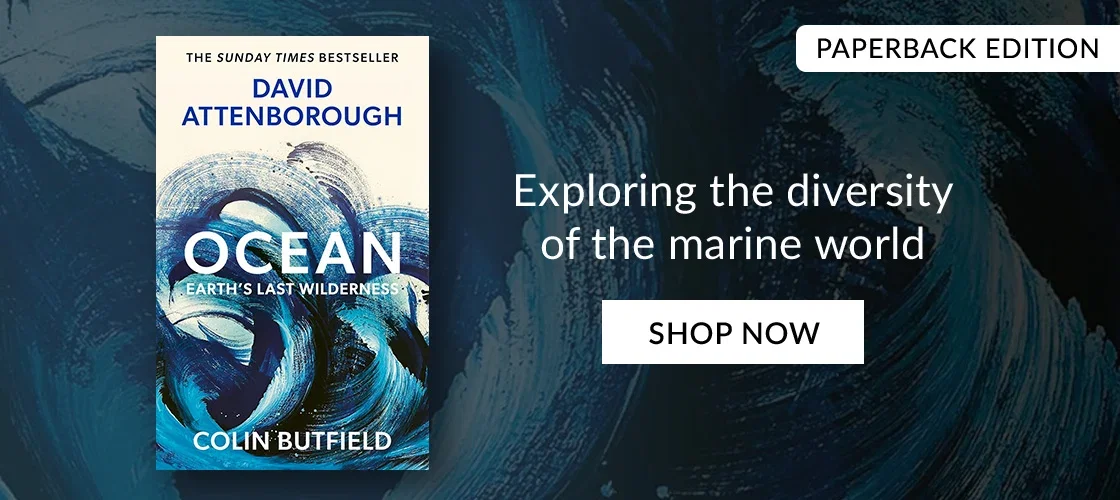Ocean by David Attenborough, Colin Butfield | PAPERBACK EDITION | Exploring the diversity of the marine world | SHOP NOW