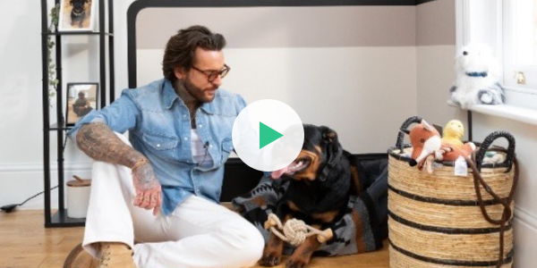 Dulux  x Pete Wicks - Pet Parenthood