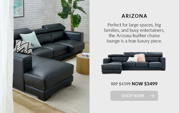 Arizona launge