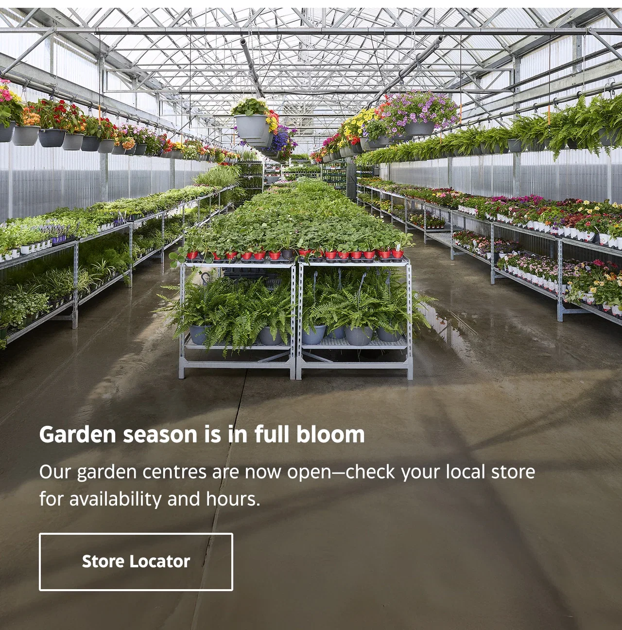 Garden season is in full bloom. Our garden centres are now open—check your local store for availability and hours.