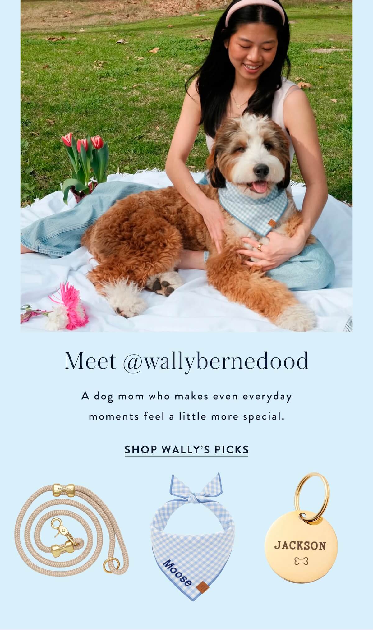 Shop Wally's Picks
