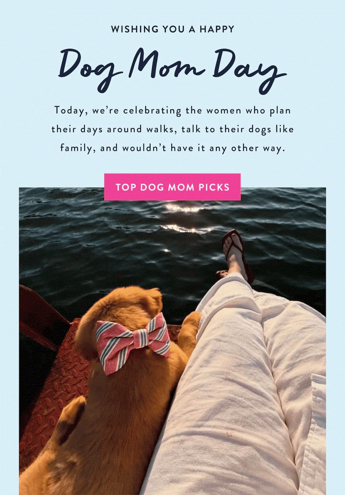 Shop Dog Mom Picks