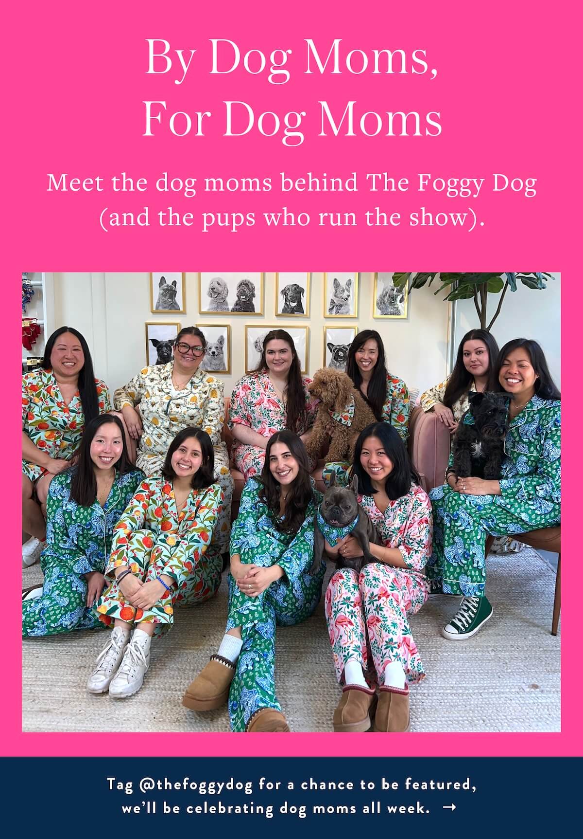 Follow us on IG @thefoggydog