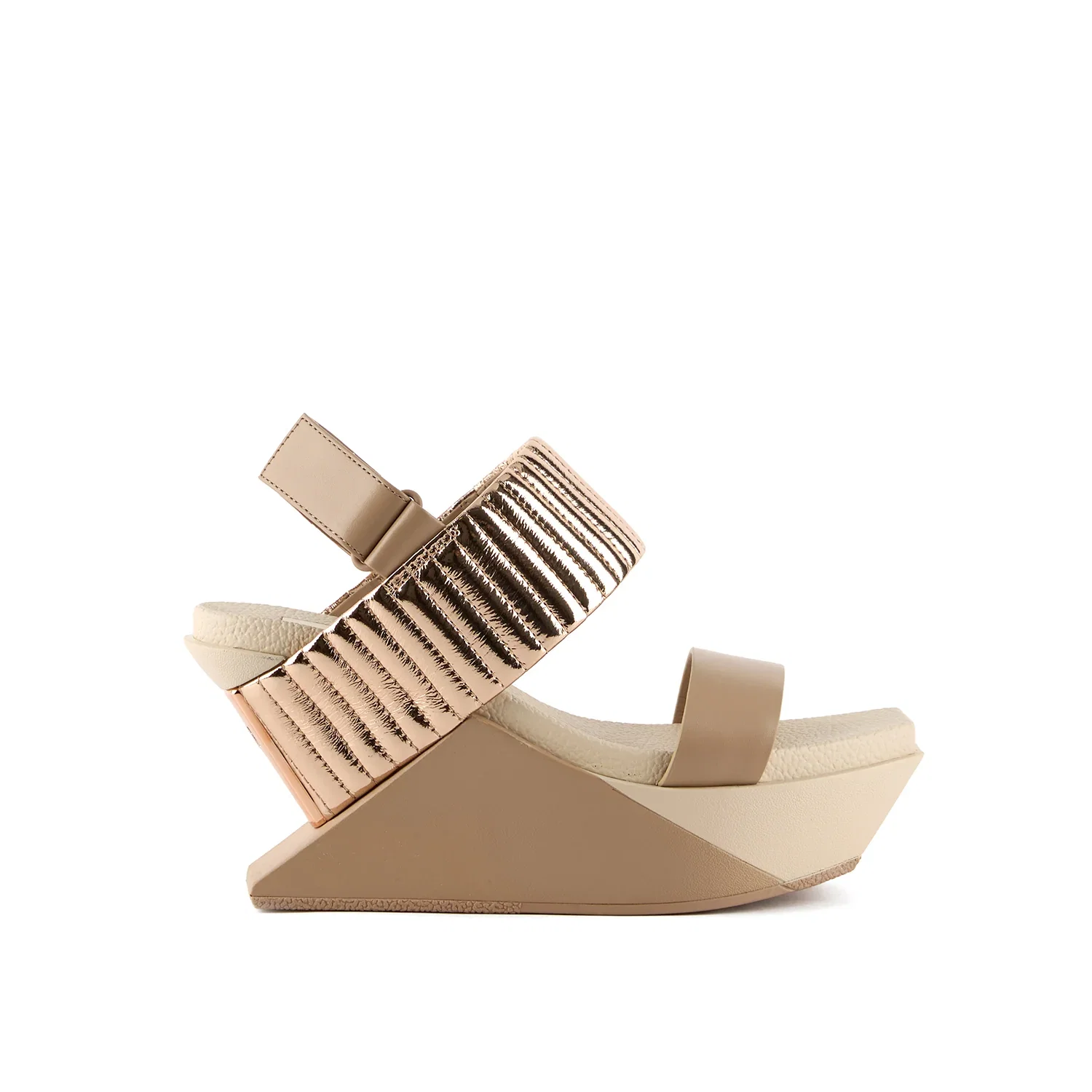Image of Delta Wedge Puffier