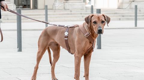 Fetchly Instant-Lock Dog Leash with One-Click Instant Clipping