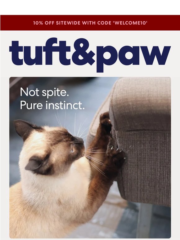It's not your cat, it's your scratcher.