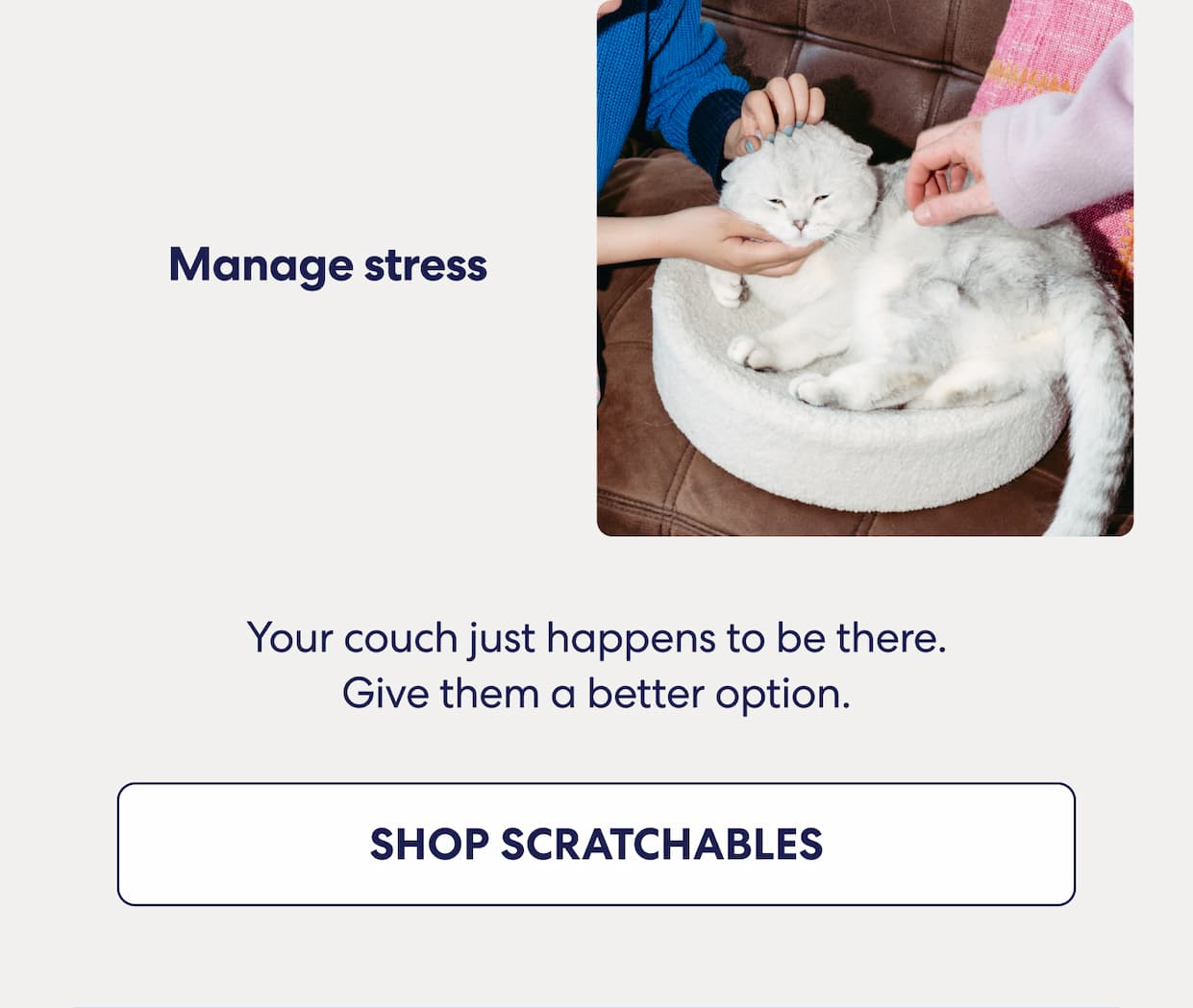 [SHOP SCRATCHABLES]