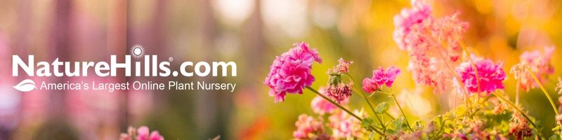 Nature Hills logo with a vibrant pink flower filled garden background