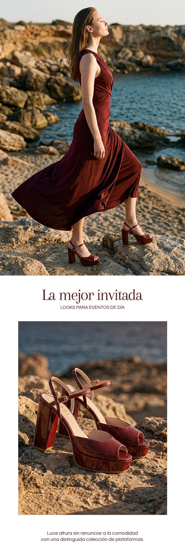 NUEVO