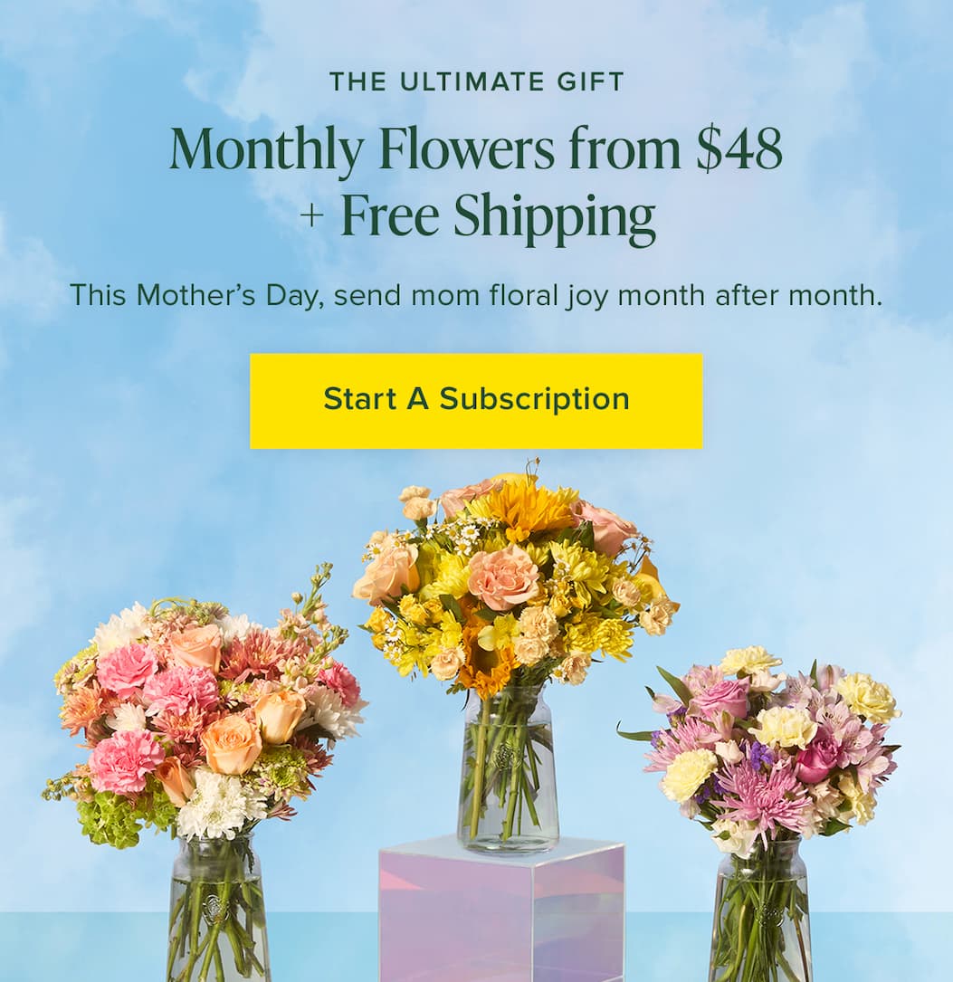 The Ultimate Gift: Monthly Flowers from $48 + Free Shipping. this Mother's Day, send mom floral joy month after month. Start A Subscription. 