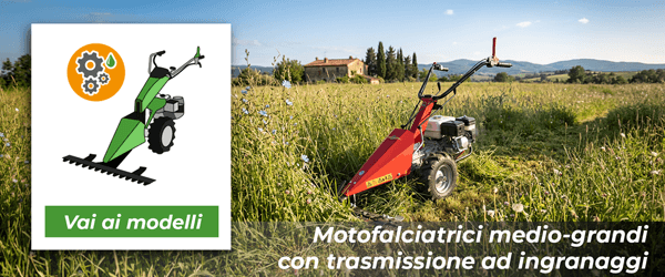 Motofalciatrici medio-grandi con trasmissione ad ingranaggi | Vai ai modelli !
