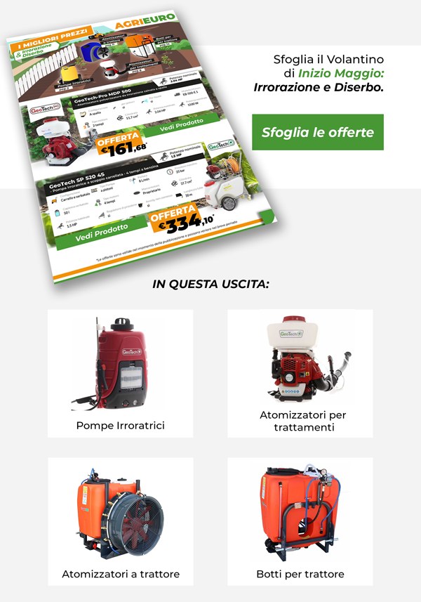 Sfoglia le offerte