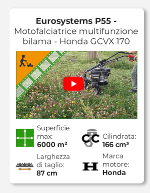 Eurosystems P55 - Motofalciatrice multifunzione bilama - Honda GCVX 170