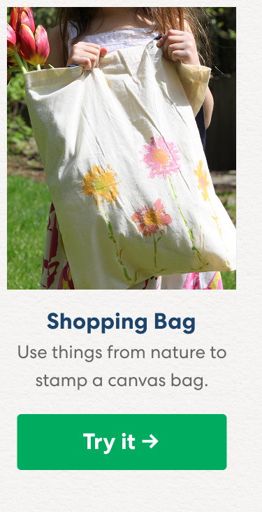 Shopping Bag: Use things from nature to stamp a canvas bag.