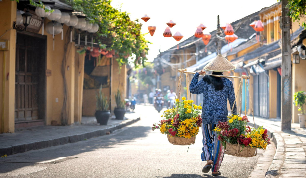 Splendours of Vietnam