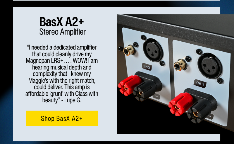 BasX A2+ Stereo Amplifier
