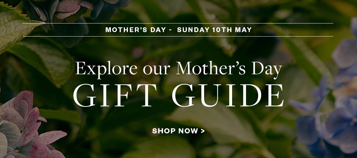 Mother's Day Gift Guide