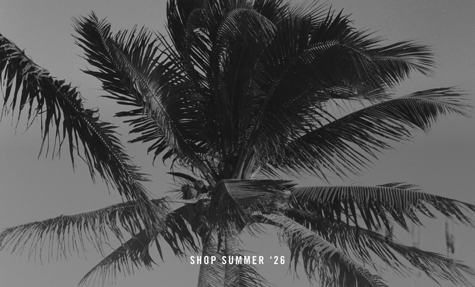 SHOP SUMMER '26