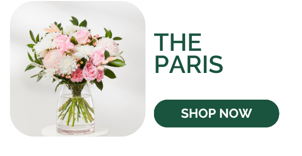 The Paris