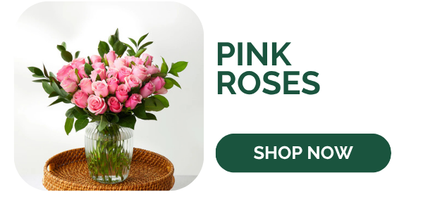 Pink Roses