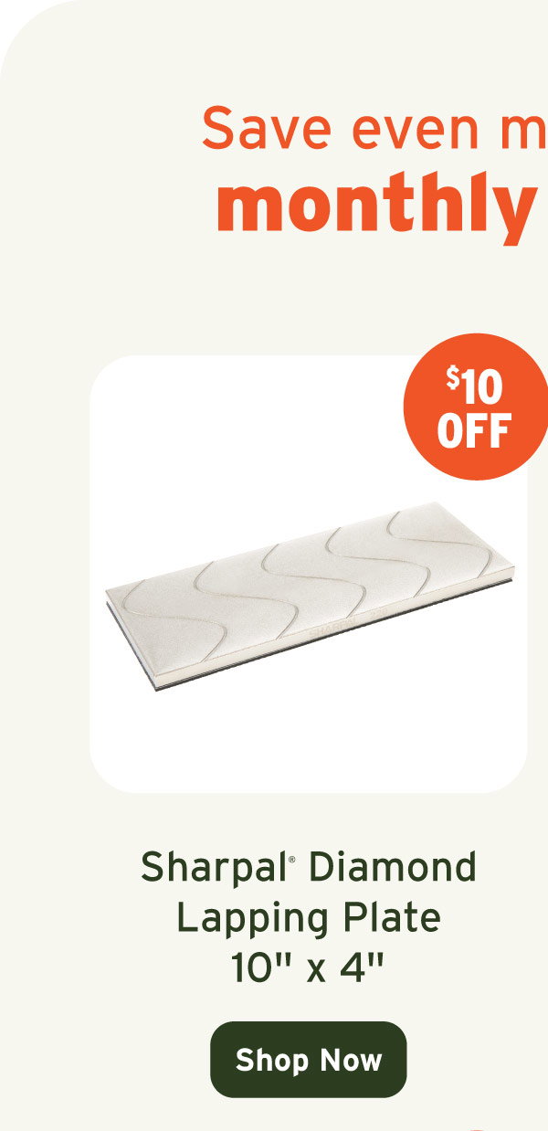 Sharpal Diamond Lapping Plate - 10" x 4"