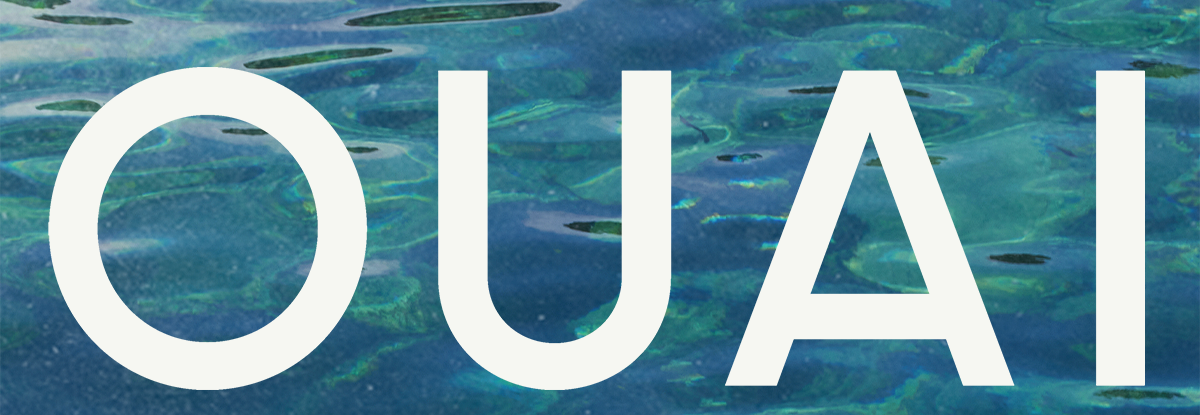 OUAI logo