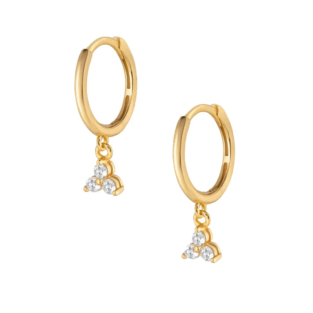 Image of Skyler Hoop Earrings