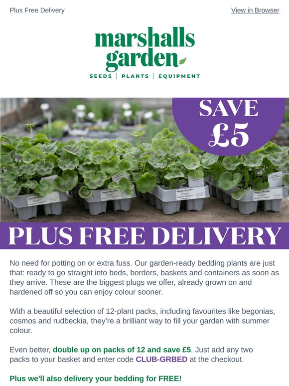 No potting on, just planting out – Save £5 on garden-ready bedding