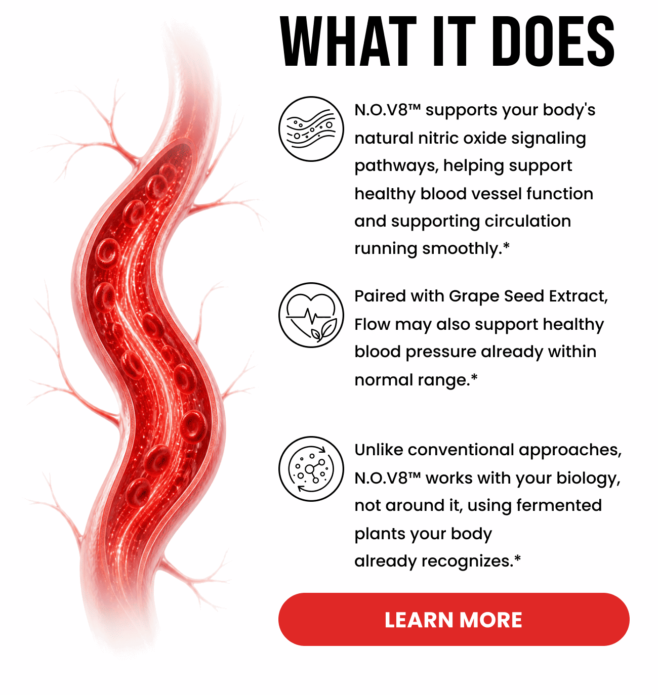 N.O.V8 supports nitric oxide signaling healthy blood vessel function circulation and blood pressure with Grape Seed Extract. Learn More button