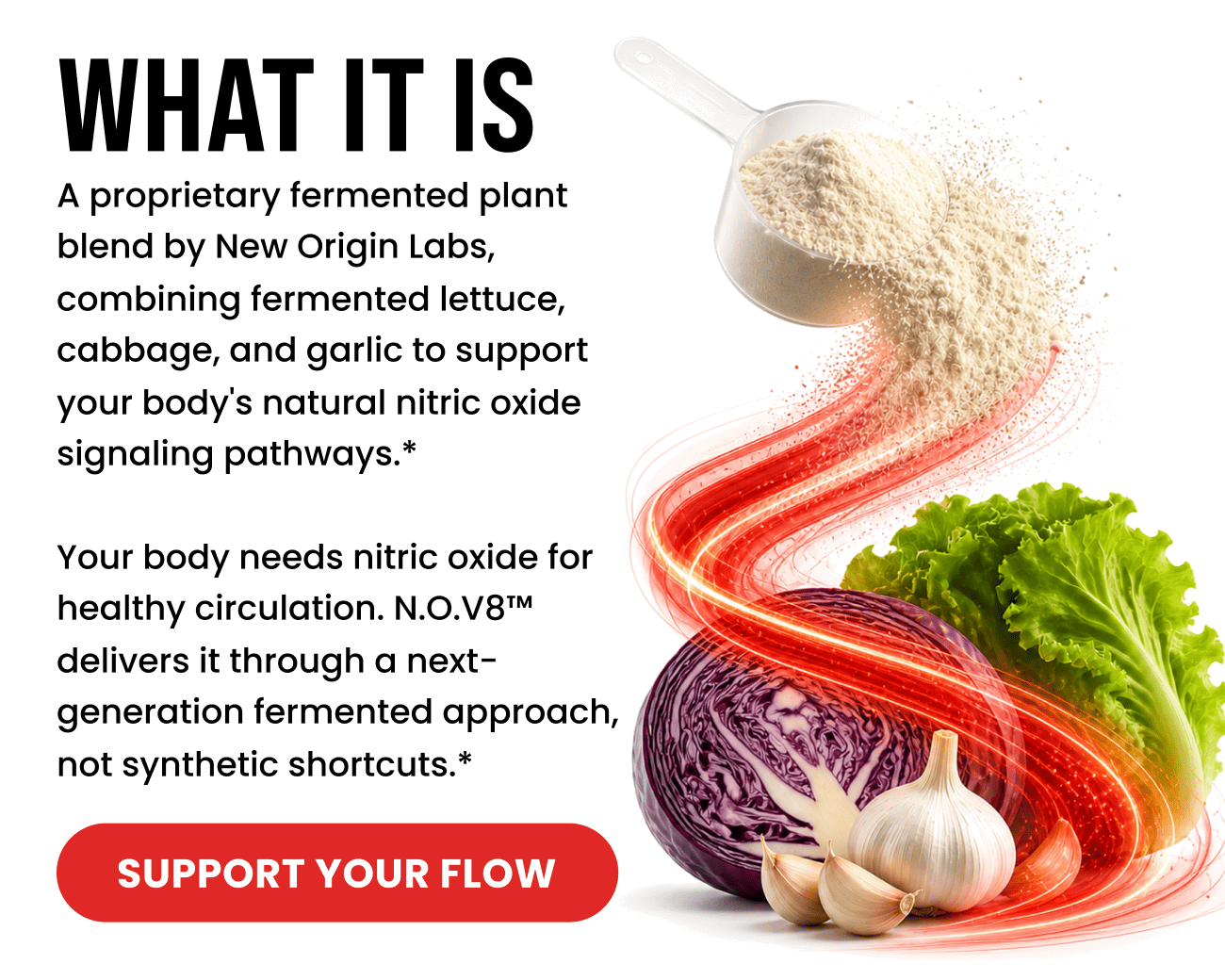 N.O.V8 fermented plant blend, lettuce cabbage and garlic support natural nitric oxide signaling pathways for healthy circulation. Support Your Flow button